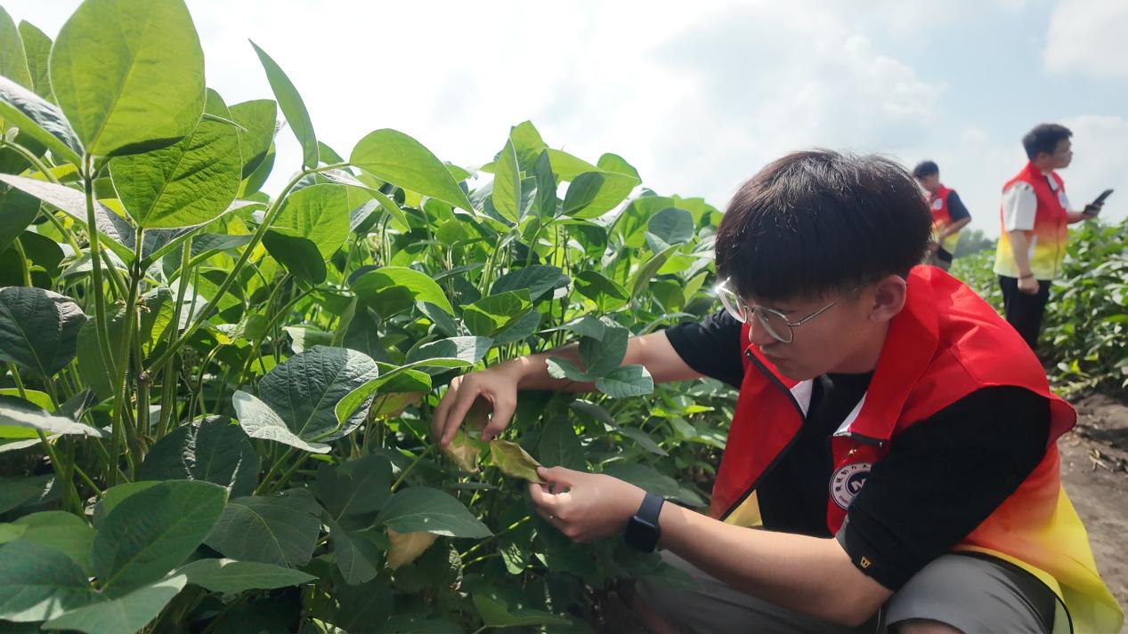 8月19日(14) 8月19日(14)