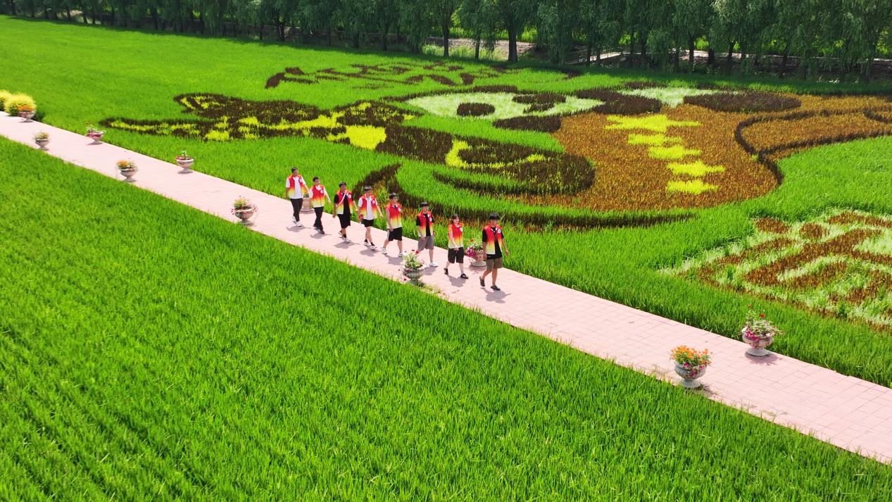 8月19日(27) 8月19日(27)